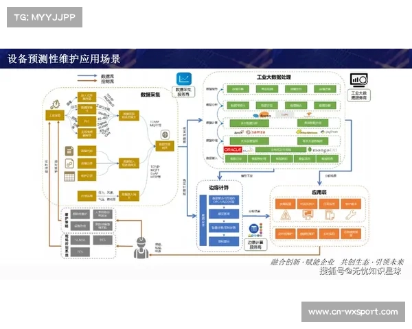 体育产业数字化转型加速 科技赋能成为核心驱动力